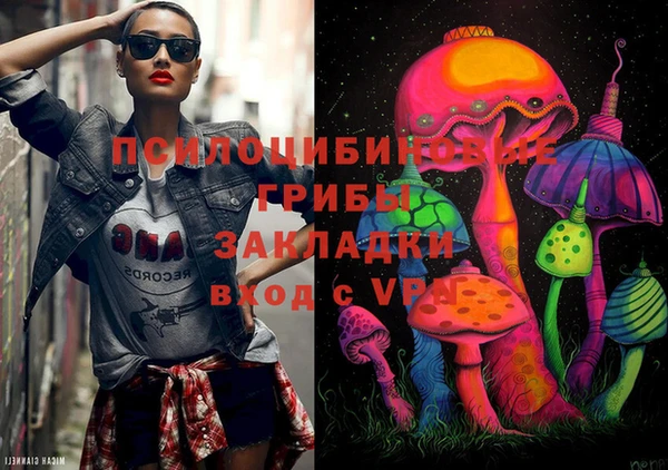 соль ск Алексеевка