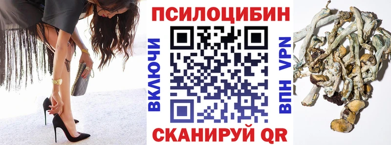 сколько стоит  Аргун  Галлюциногенные грибы Cubensis 
